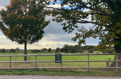 The Potting Shed - Foto 36