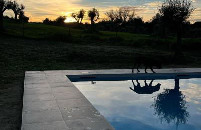 Monte Casa Branca - Foto 57