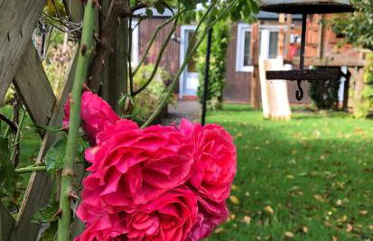 Ferienhaus Königskirsche - Foto 33