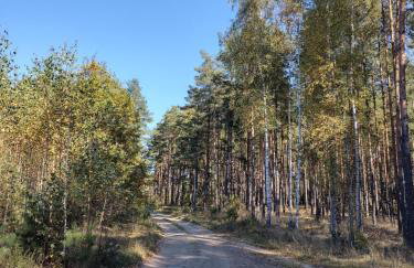 Fajny Domek w Nartach - Foto 31