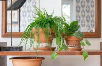 Pescadora by Rather Be Properties - Foto 59