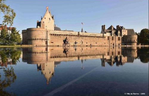 CŒUR MENOU, Radis'son & PARKING - Foto 28