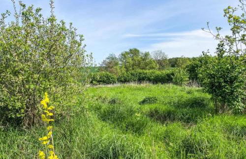 Peaceful Escape in Neu Karin - Foto 52