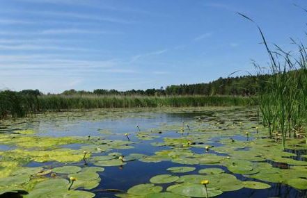Ferienanlage Waschbär Country - Photo 47