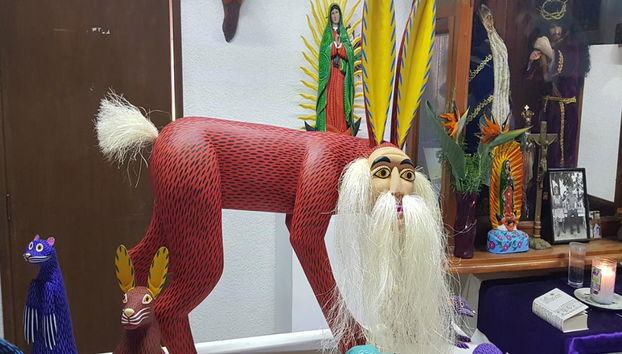 Tour des villages d'Oaxaca : San Martín Tilcajete, Teotitlán del Valle et Santa Maria el Tule - Photo 3