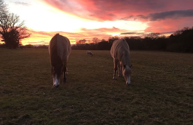 Hillside Farm Barn Apartments - Photo 27