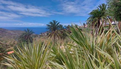Cabaña Los Palmeros, vista al mar y la montaña - Foto 5