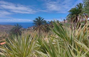 Cabaña Los Palmeros, vista al mar y la montaña - Photo 5