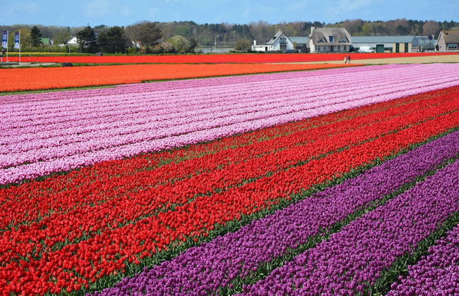 Wonderful Holiday Home in South Holland near Sea - Foto 13