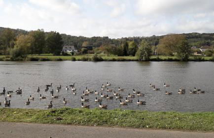 Chalet le logis des autre - Foto 55