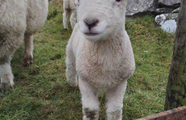 Kims Retreat - Foto 29