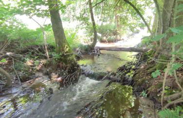 FerienHaus "Grimberg" & großes Grundstück - Photo 42