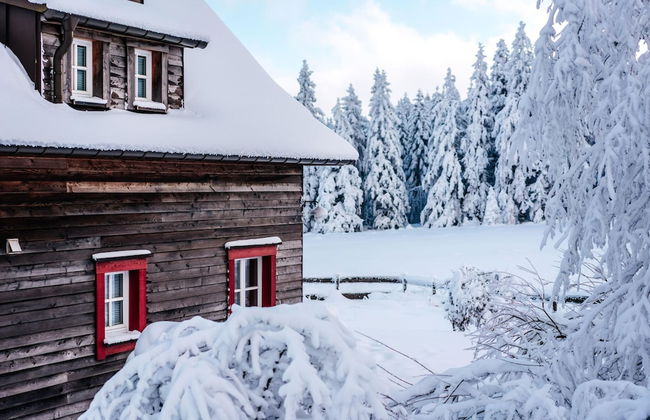 Chalet in Harz With Sauna & Brocken Views - Photo 23