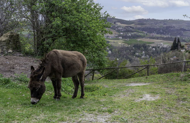 La Rovere - Photo 37