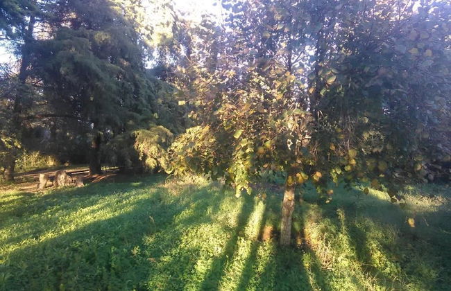 Nature Houses - Foto 35