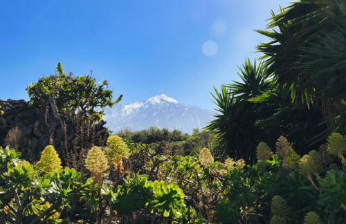 Finca Vino Tinto 4 - Foto 21