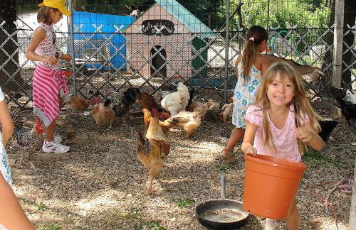 Agriturismo Ca' Isotta - Photo 58