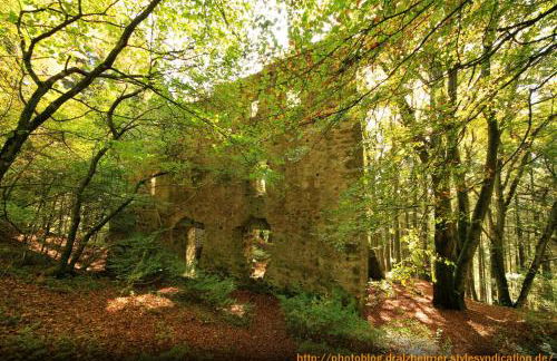 Ferienwohnungen Am Eifelsteig - Foto 21