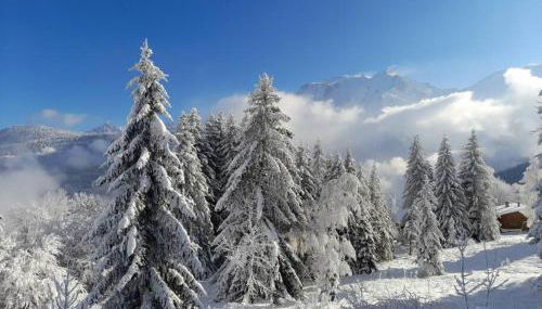 Le cocon du Bettex 1400 - Cozy Apt near Mont Blanc - Photo 2