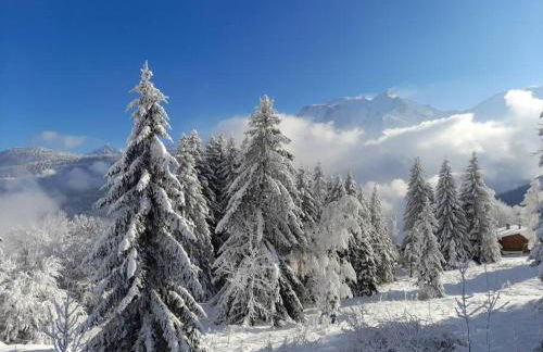 Le cocon du Bettex 1400 - Cozy Apt near Mont Blanc - Photo 2