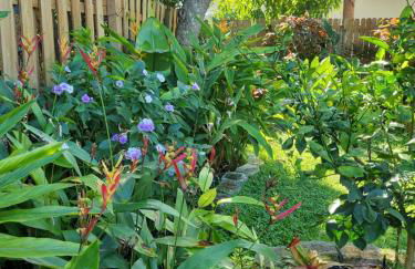 Tropical Hideaway! - Foto 16