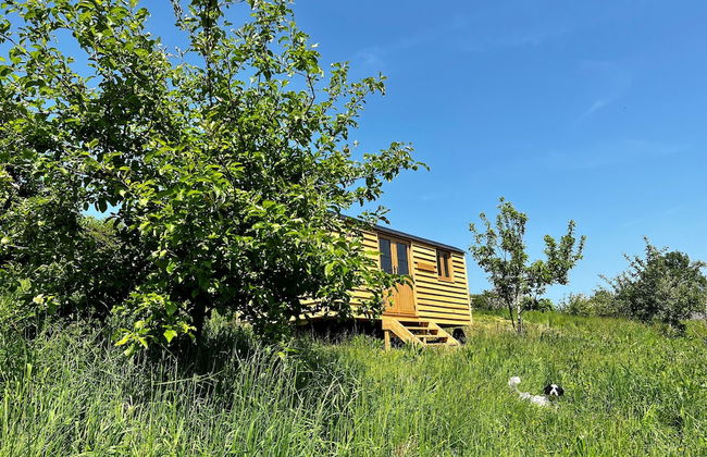 Woodpecker Hill - Apple Orchard in Alfriston - Foto 18