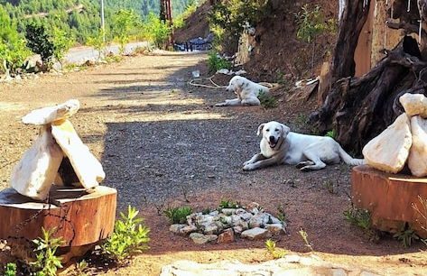 Hergül Holiday Village - Foto 22