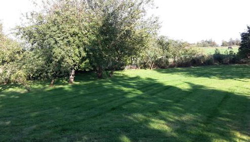 Ferienwohnung - Foto 4, Garden