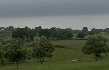 Casa Loredana - Foto 19