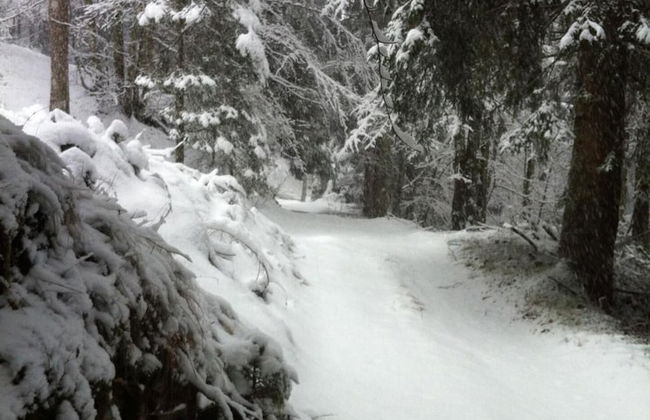 Locanda Alla Stella - Foto 53