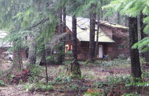 Chalet-style cabin near Mt. Rainier and Crystal - Foto 18