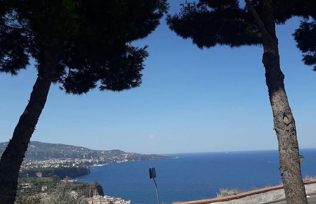 Private exklusive Tour durch Positano und Sorrent + Mittagessen auf dem Bauernhof - Foto 13