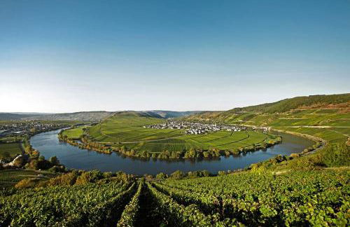 Moselhaus by Clüsserath-Wittmann - Foto 71