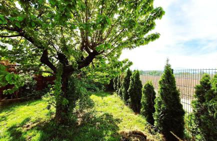 Mc Garry Apartments and Garden - Foto 4