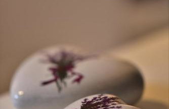 Countryside Studio Apartment Valentina - Foto 12