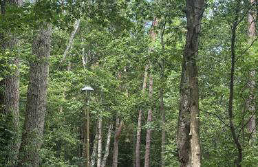 Cichy Zakątek - Foto 24