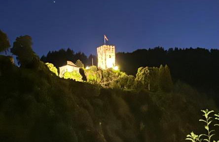 Apartment Schwanenbach - Foto 21