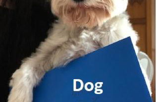 FREE DOG STAY - LARGE APARTMENT - Walk in Shower -FULL Kitchen - Free On Street Parking, NETFLIX - Super Fast WiFi - DVD's-Welcome Tray - No Deposits - Just Meters from Gavin n Stacey Film House - Foto 26