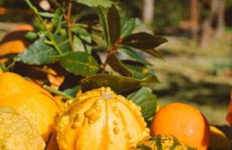 Agriturismo Villa Vittoria - Photo 44