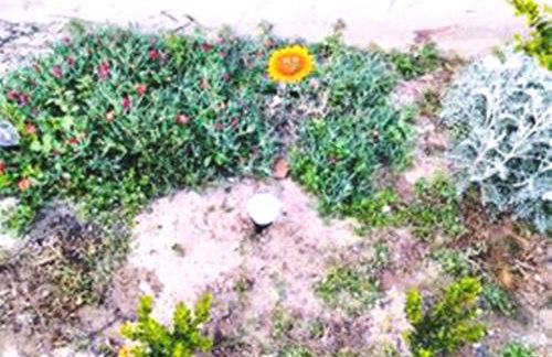 Nikolas' house - Foto 42