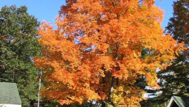 Amber Lantern Two-Bedroom Cottage - Foto 4