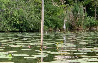 Ferienwohnung am Netzener See - Foto 17