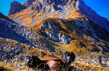 Casa Bagatin - Photo 55