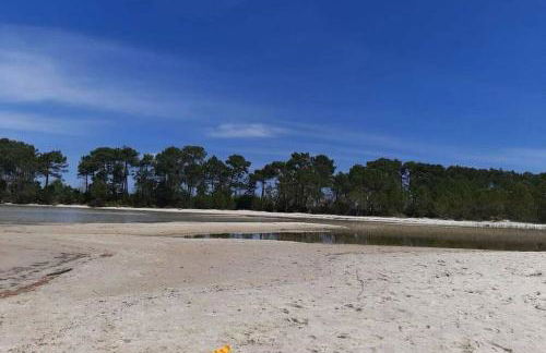 Lou cabanot - Foto 8