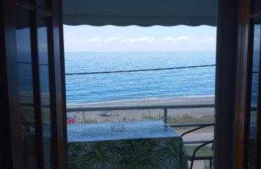 AGATHA appartments PALIOURIA - Foto 67