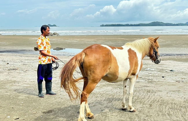 7 Heaven camping Lanta - Photo 22