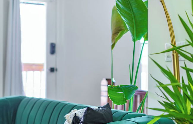 Jungle Casa Lundy - Foto 72