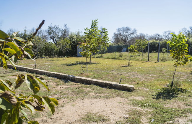 Borgo Segine - Photo 78