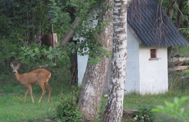 Quiet Chalet With Panoramic View and Fenced Garden - Photo 20