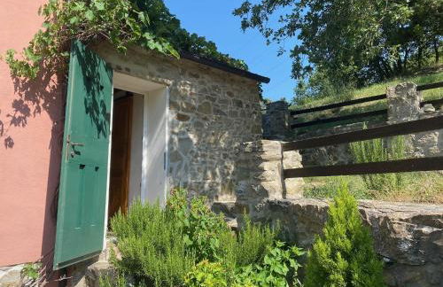 Monolocale sul Lago di Suviana - Foto 12